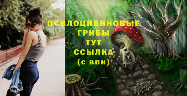 2c-b Костерёво