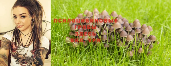 mix Кодинск