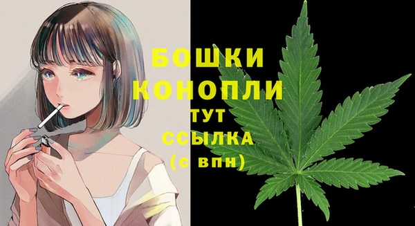 2c-b Костерёво