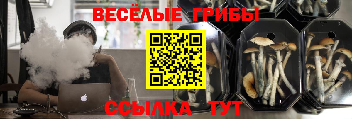 Псилоцибиновые грибы мухоморы  Вход с VPN  Наро-Фоминск  Псилоцибиновые грибы мухоморы 
